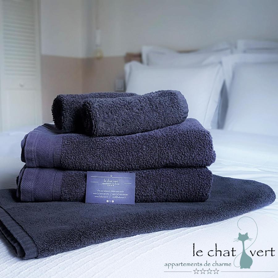Le Chat Vert - Appartements Adults Only Saint-Andre  Exterior photo